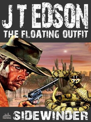 cover image of The Floating Outfit 13
